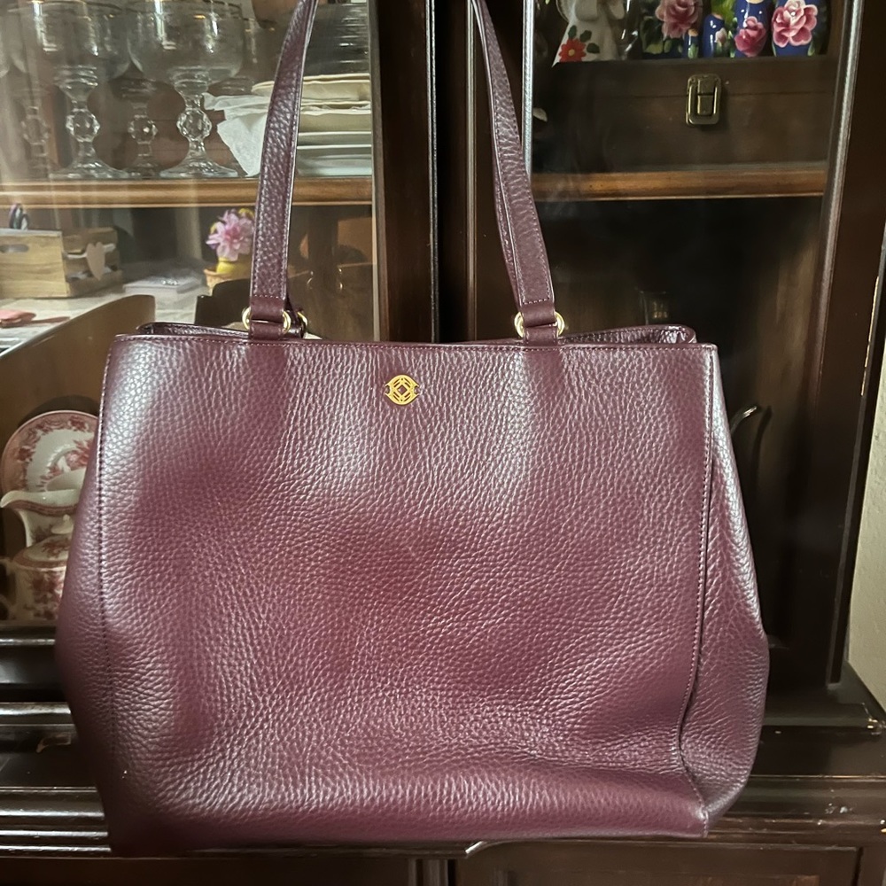 Dagne Dover Women’s fashion work bag. 10 inch iPad/laptop holder. Brown